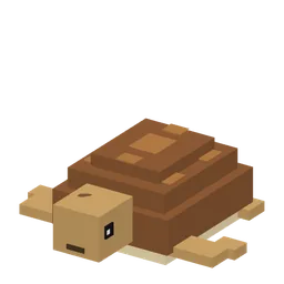 كاريتا